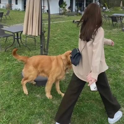 夏威夷特勤组第一季